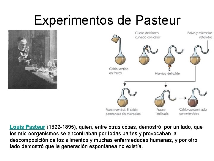 Experimentos de Pasteur Louis Pasteur (1822 -1895), quien, entre otras cosas, demostró, por un