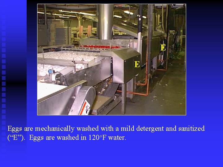 E E Eggs are mechanically washed with a mild detergent and sanitized (“E”). Eggs