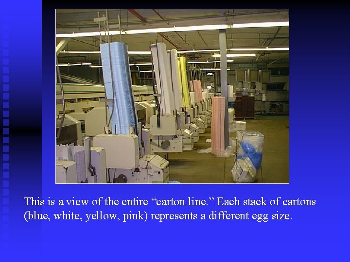 This is a view of the entire “carton line. ” Each stack of cartons