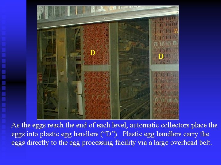 DD D As the eggs reach the end of each level, automatic collectors place