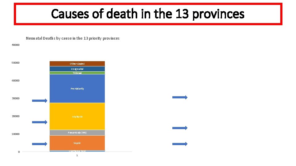 Causes of death in the 13 provinces Neonatal Deaths by cause in the 13