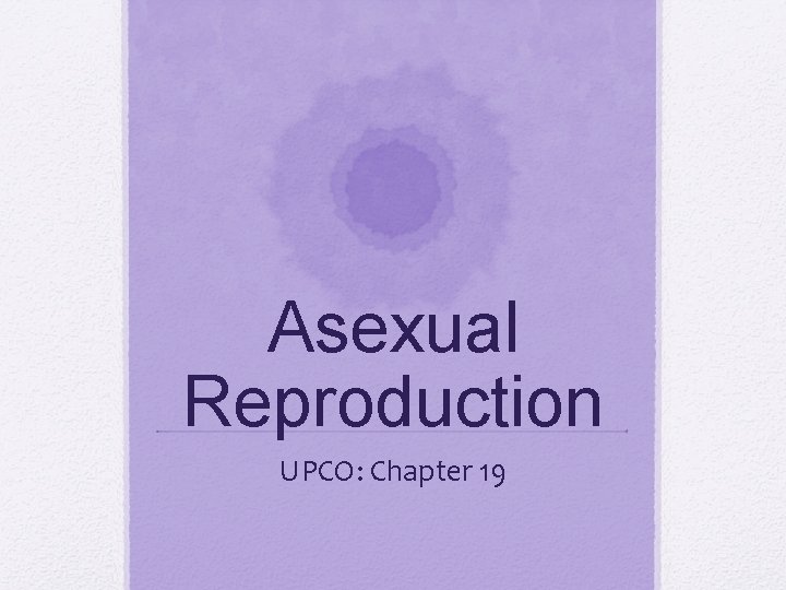 Asexual Reproduction UPCO: Chapter 19 