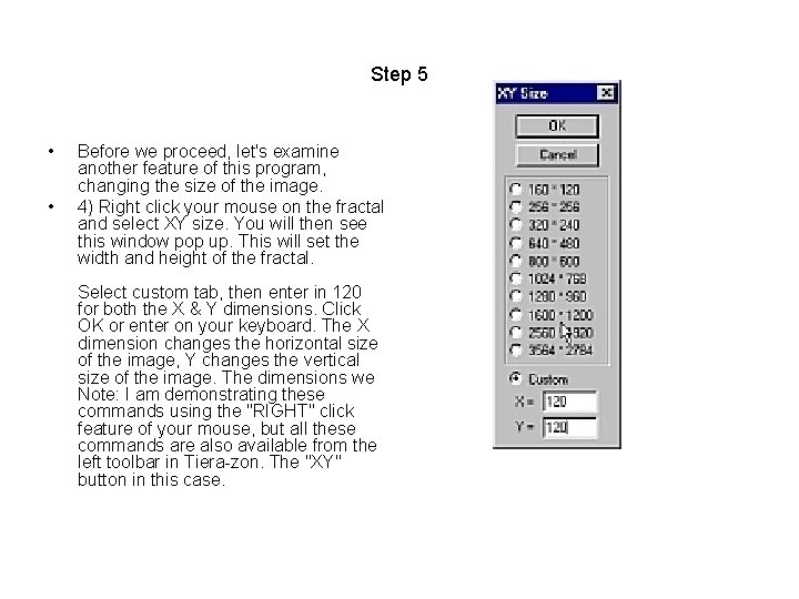 Step 5 • • Before we proceed, let's examine another feature of this program,