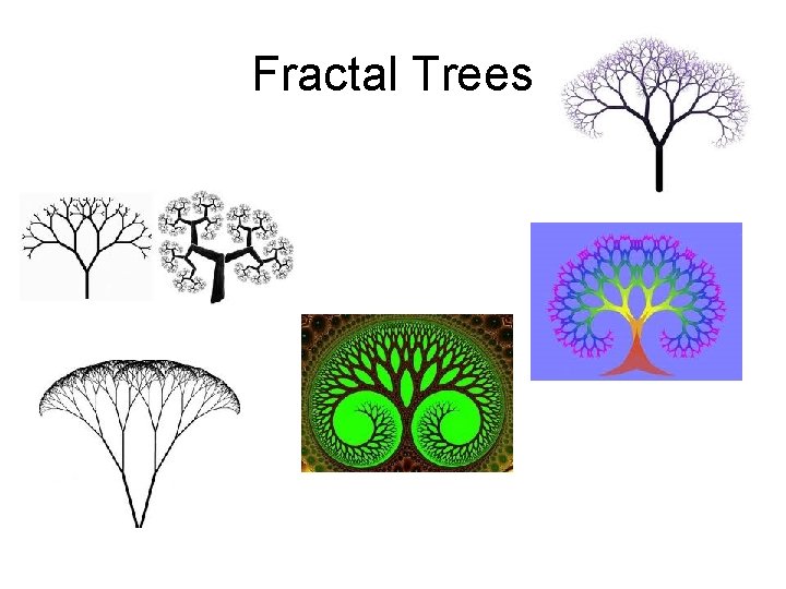 Fractal Trees 