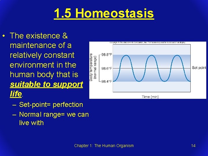 1. 5 Homeostasis • The existence & maintenance of a relatively constant environment in