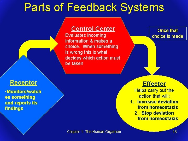 Parts of Feedback Systems Control Center Evaluates incoming information & makes a choice. When
