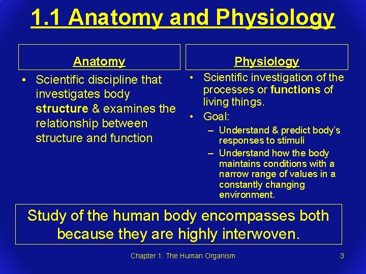 1. 1 Anatomy and Physiology Anatomy Physiology • Scientific discipline that investigates body structure