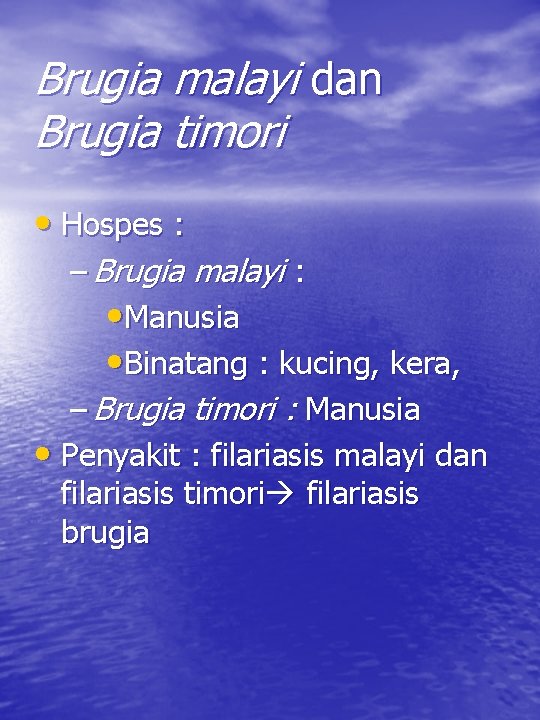 Brugia malayi dan Brugia timori • Hospes : – Brugia malayi : • Manusia