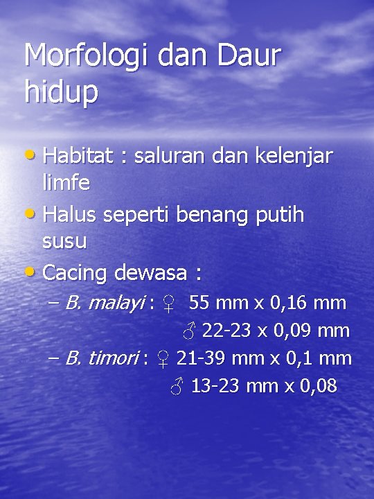 Morfologi dan Daur hidup • Habitat : saluran dan kelenjar limfe • Halus seperti