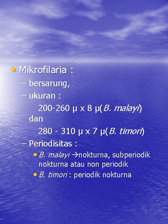  • Mikrofilaria : – bersarung, – ukuran : 200 -260 µ x 8