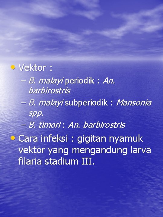  • Vektor : – B. malayi periodik : An. barbirostris – B. malayi
