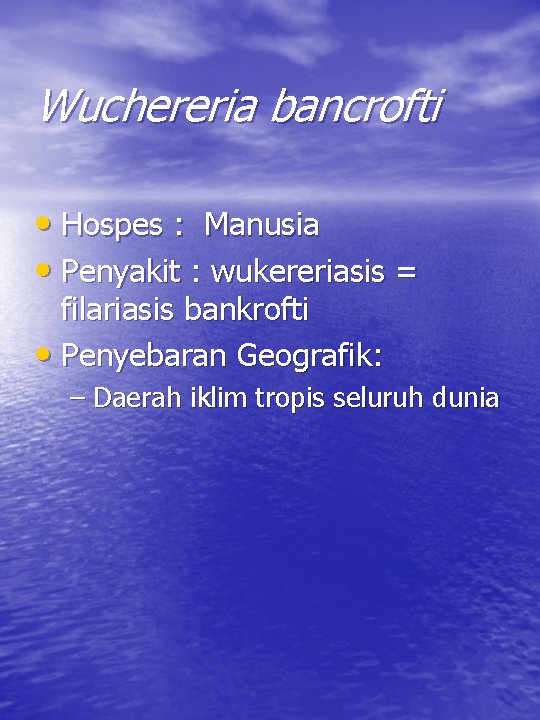 Wuchereria bancrofti • Hospes : Manusia • Penyakit : wukereriasis = filariasis bankrofti •