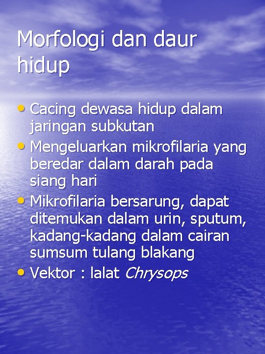 Morfologi dan daur hidup • Cacing dewasa hidup dalam jaringan subkutan • Mengeluarkan mikrofilaria