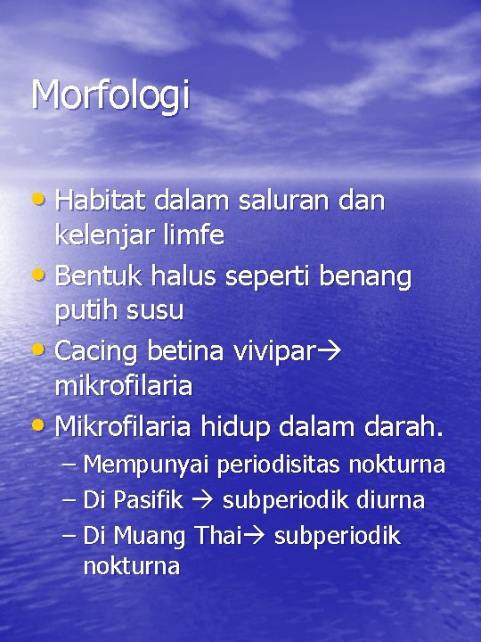 Morfologi • Habitat dalam saluran dan kelenjar limfe • Bentuk halus seperti benang putih