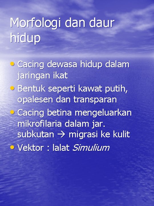 Morfologi dan daur hidup • Cacing dewasa hidup dalam jaringan ikat • Bentuk seperti Morfologi dan daur hidup • Cacing dewasa hidup dalam jaringan ikat • Bentuk seperti