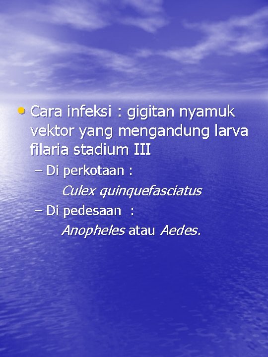  • Cara infeksi : gigitan nyamuk vektor yang mengandung larva filaria stadium III