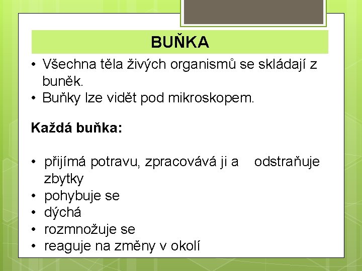 BUŇKA • Všechna těla živých organismů se skládají z buněk. • Buňky lze vidět