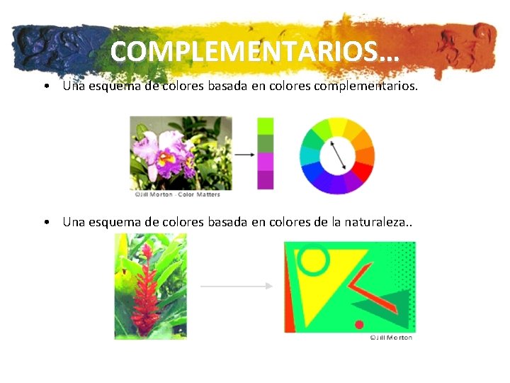 COMPLEMENTARIOS… • Una esquema de colores basada en colores complementarios. • Una esquema de