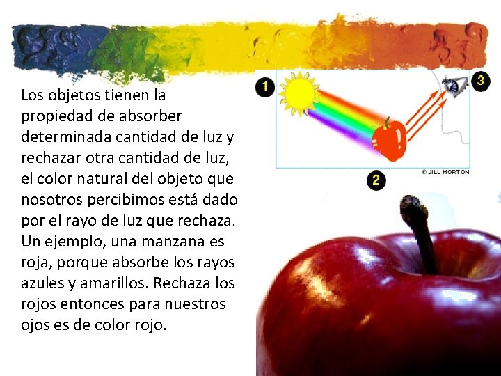 Los objetos tienen la propiedad de absorber determinada cantidad de luz y rechazar otra