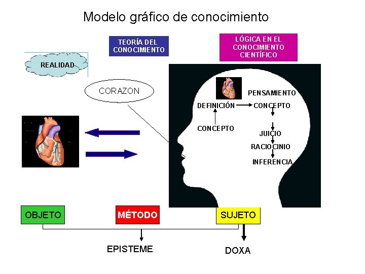 Modelo gráfico de conocimiento TEORÍA DEL CONOCIMIENTO LÓGICA EN EL CONOCIMIENTO CIENTÍFICO REALIDAD CORAZON