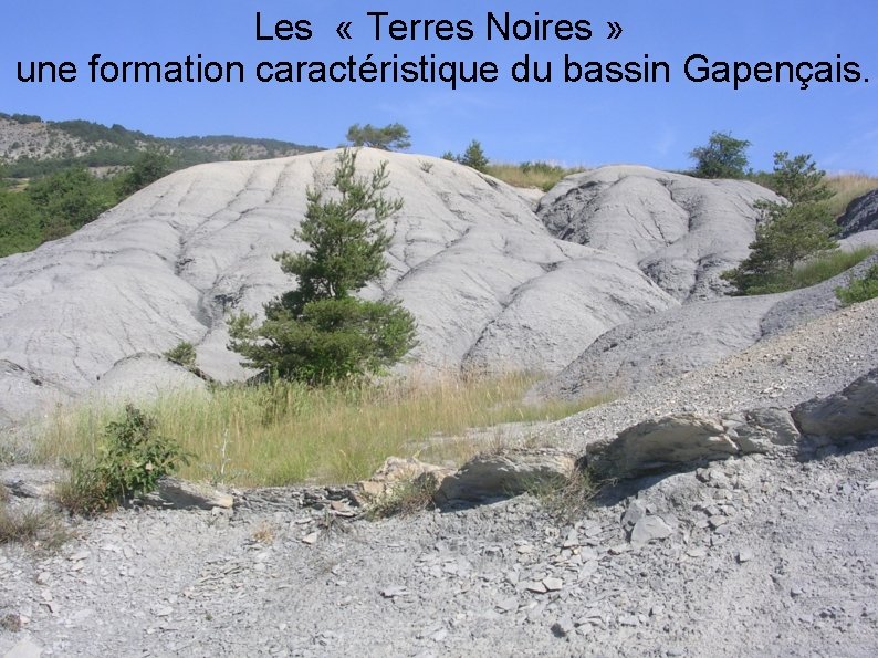 Les « Terres Noires » une formation caractéristique du bassin Gapençais. 