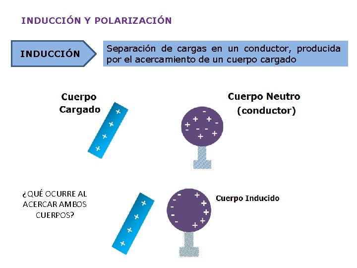 INDUCCIÓN Y POLARIZACIÓN INDUCCIÓN ¿QUÉ OCURRE AL ACERCAR AMBOS CUERPOS? Separación de cargas en