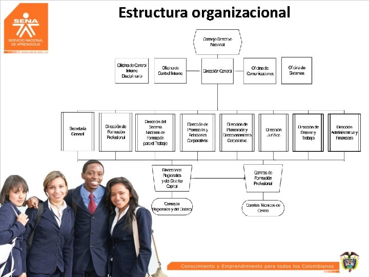  Estructura organizacional 