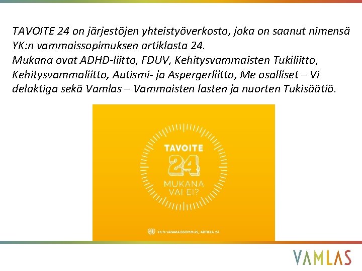 TAVOITE 24 on järjestöjen yhteistyöverkosto, joka on saanut nimensä YK: n vammaissopimuksen artiklasta 24.