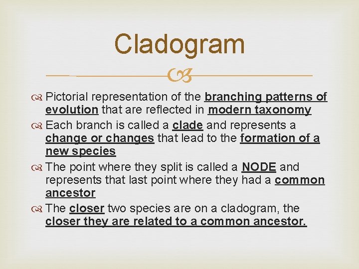 Cladogram Pictorial representation of the branching patterns of evolution that are reflected in modern