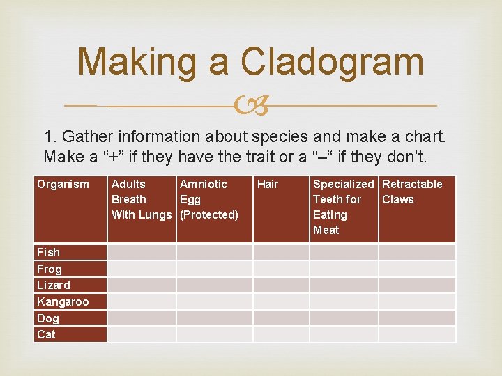 Making a Cladogram 1. Gather information about species and make a chart. Make a