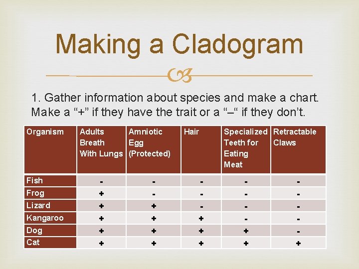 Making a Cladogram 1. Gather information about species and make a chart. Make a