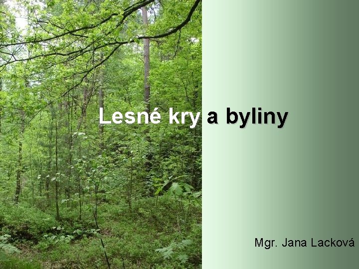 Lesné kry a byliny Mgr. Jana Lacková 
