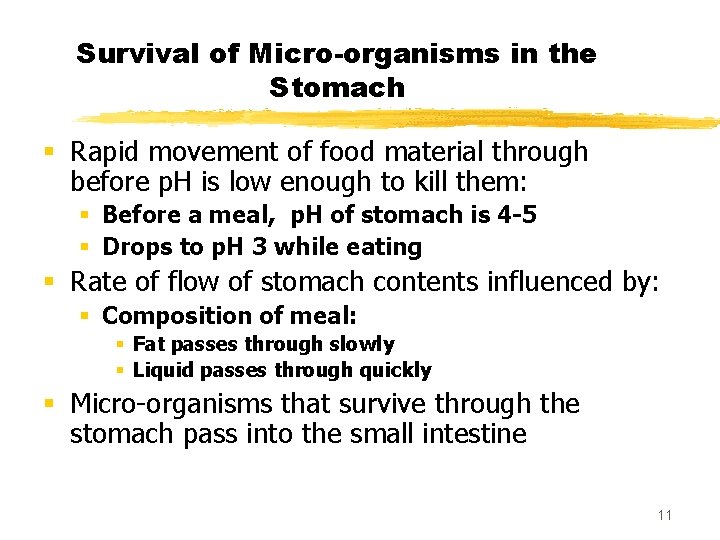 Survival of Micro-organisms in the Stomach § Rapid movement of food material through before