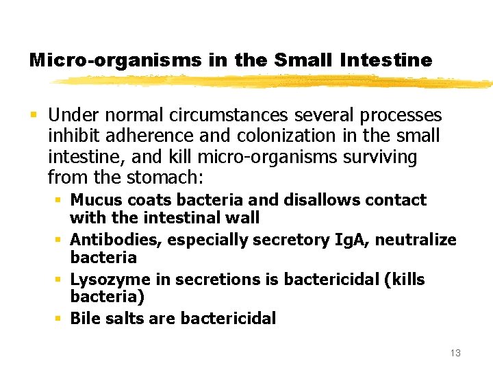 Micro-organisms in the Small Intestine § Under normal circumstances several processes inhibit adherence and