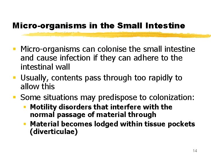 Micro-organisms in the Small Intestine § Micro-organisms can colonise the small intestine and cause