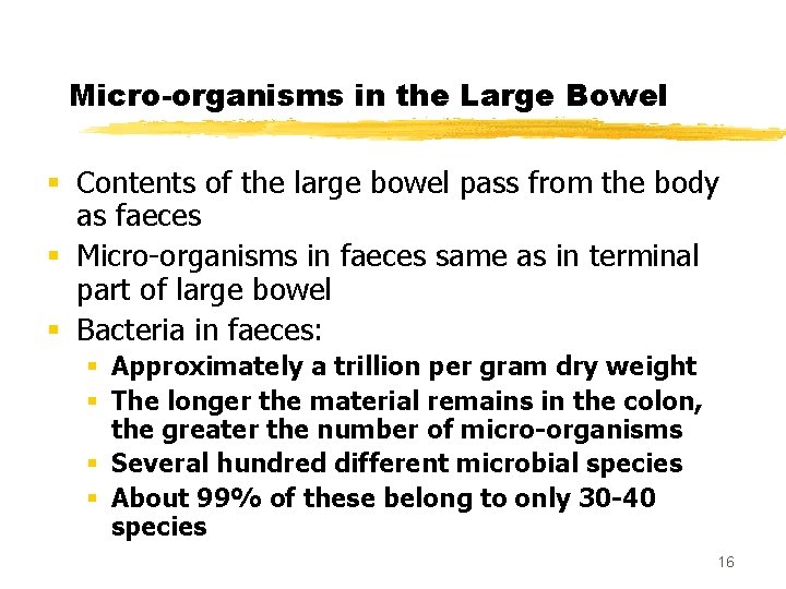 Micro-organisms in the Large Bowel § Contents of the large bowel pass from the