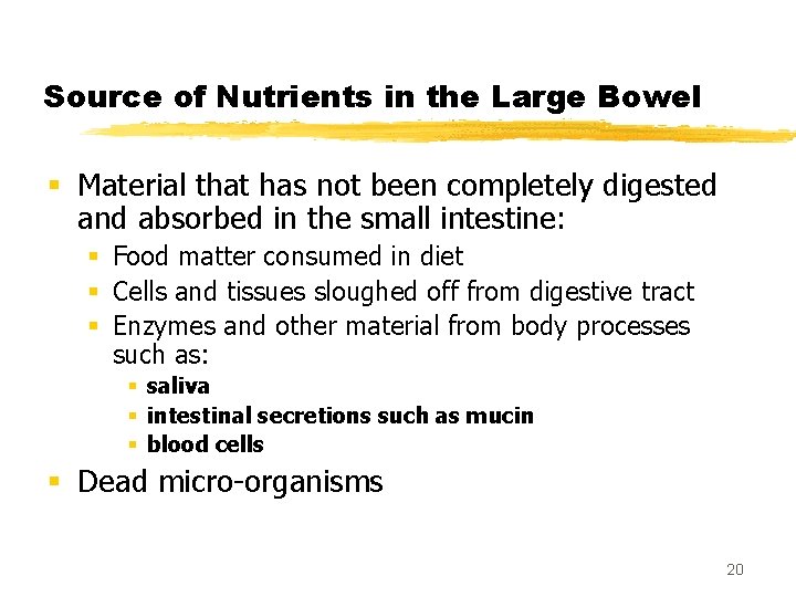Source of Nutrients in the Large Bowel § Material that has not been completely