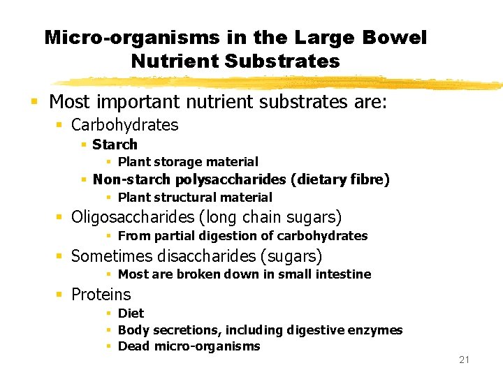 Micro-organisms in the Large Bowel Nutrient Substrates § Most important nutrient substrates are: §