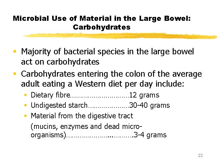 Microbial Use of Material in the Large Bowel: Carbohydrates § Majority of bacterial species