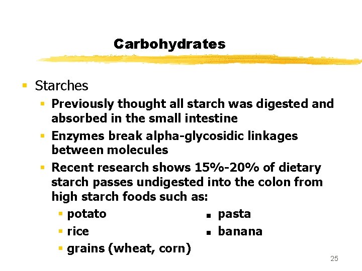 Carbohydrates § Starches § Previously thought all starch was digested and absorbed in the