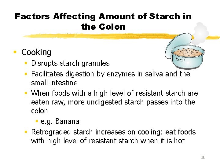 Factors Affecting Amount of Starch in the Colon § Cooking § Disrupts starch granules