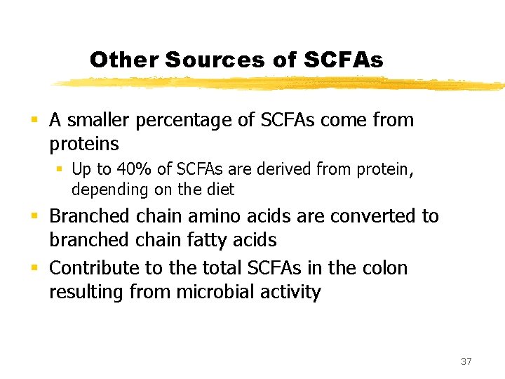 Other Sources of SCFAs § A smaller percentage of SCFAs come from proteins §