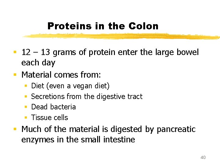 Proteins in the Colon § 12 – 13 grams of protein enter the large