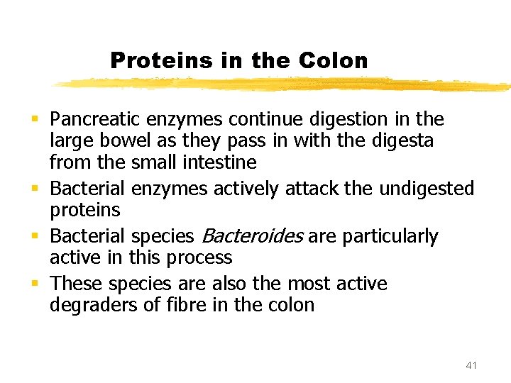 Proteins in the Colon § Pancreatic enzymes continue digestion in the large bowel as