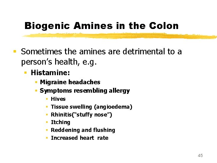 Biogenic Amines in the Colon § Sometimes the amines are detrimental to a person’s