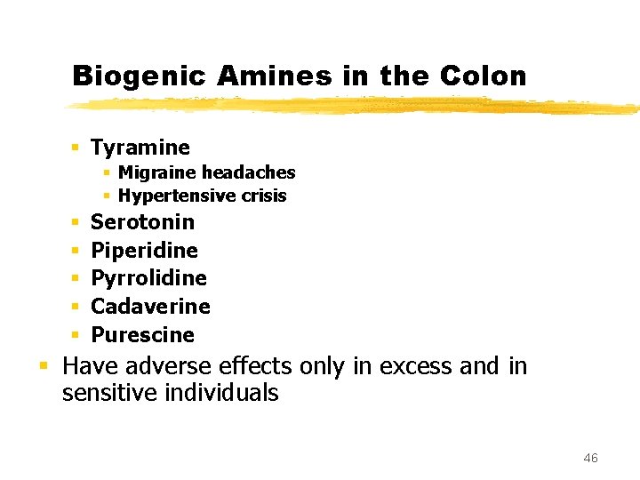 Biogenic Amines in the Colon § Tyramine § Migraine headaches § Hypertensive crisis §