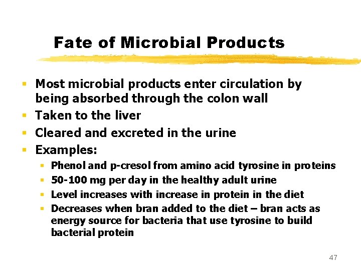 Fate of Microbial Products § Most microbial products enter circulation by being absorbed through
