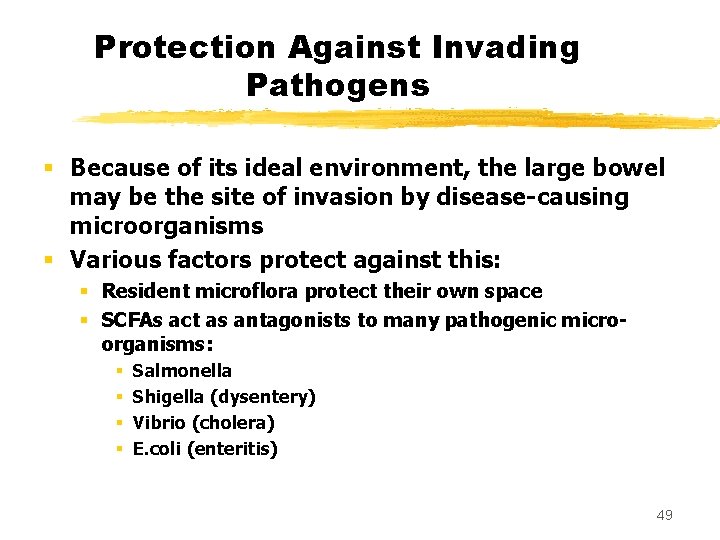 Protection Against Invading Pathogens § Because of its ideal environment, the large bowel may