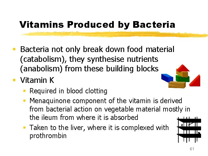 Vitamins Produced by Bacteria § Bacteria not only break down food material (catabolism), they