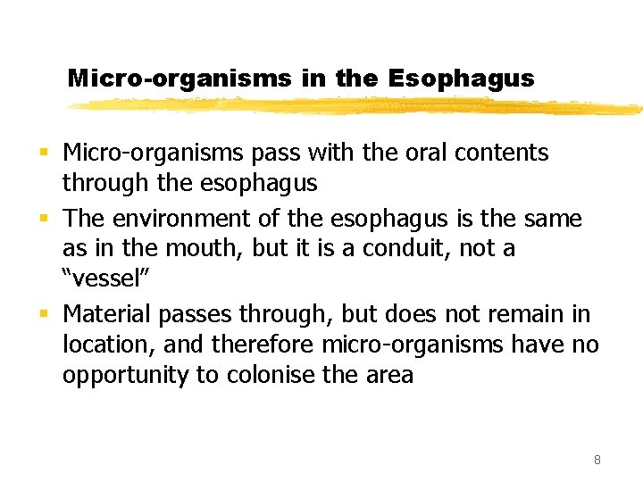 Micro-organisms in the Esophagus § Micro-organisms pass with the oral contents through the esophagus
